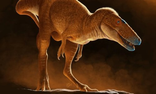 'Zmajski princ Mongolije': Znanstvenici otkrili novu vrstu dinosaura