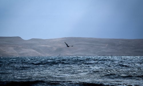Spašeno dvoje maloljetnih Čeha, bura ih odnijela prema Velebitskom kanalu
