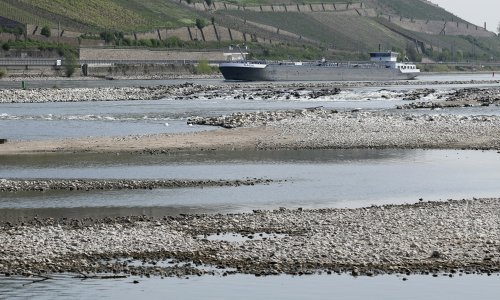Različite vrste suše pogađaju Europu: ‘Nismo u dobrom stanju’