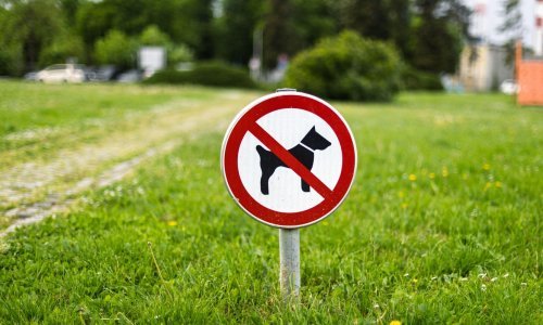U parku kod Samobora psi čuvari rastrgali maltezera