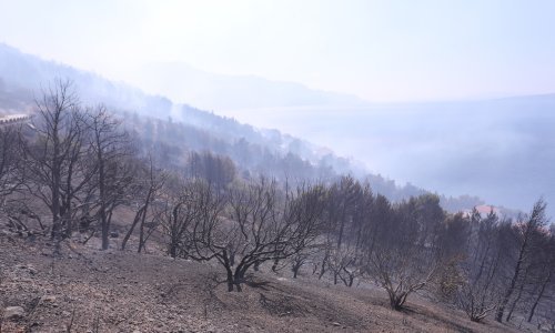 Lokaliziran požar kod Žitnića, vatrogasci ostaju na terenu radi dežurstva i sanacije