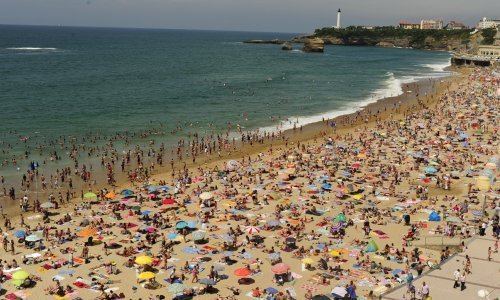 Evo kako se mijenja broj napada morskih pasa: Zabilježeni su i na omiljenoj destinaciji brojnih Hrvata