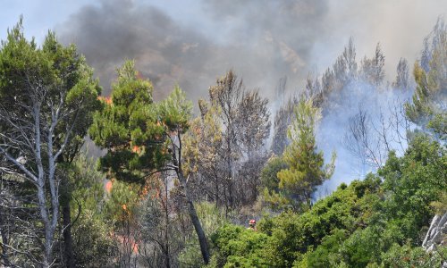 Buknuo požar u Makarskoj, u pomoć stigli i kanaderi