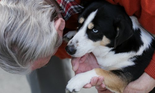 Mogu li umirovljenici u Hrvatskoj u domove za starije s kućnim ljubimcem