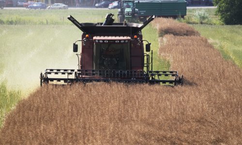 Na istoku Hrvatske nova poljoprivredna praksa: U istom danu obavljena i žetva i sjetva