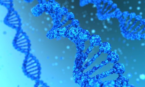 Pandorina kutija ili revolucija? Počeo kontroverzni projekt stvaranja dijelova ljudskog DNK