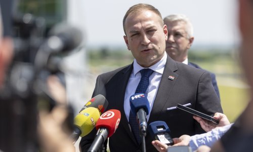 Vlajčić: Do 2027. godine uništit ćemo mediteransku voćnu muhu