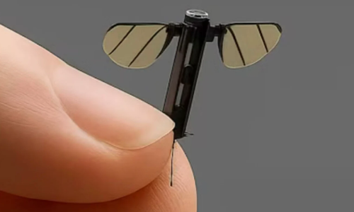 Sve traženija roba: Kineska vojska razvija dron veličine komarca