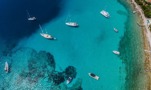 Stručnjak: 'Drastične promjene pogađaju i more i kopno. Nestaju šumske vrste'