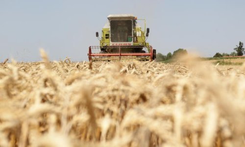 Baranjci luduju za durum pšenicom, a Slavonci vole uljarice i ječam