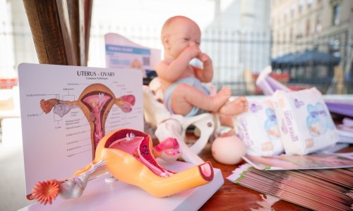 Komora primalja pisala zastupnicima: Opet smo na margini