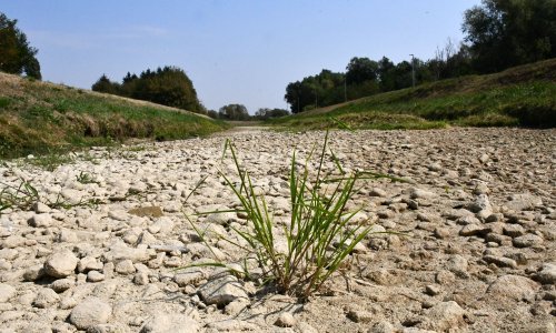 Poljoprivrednici u FBiH zbog suše traže hitno proglašavanje elementarne nepogode