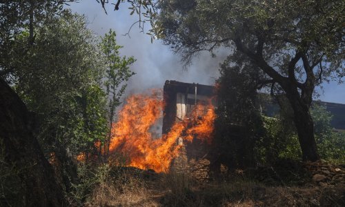 Gori u Turskoj: Evakuirano 50.000 ljudi, snažni vjetrovi otežavaju gašenje