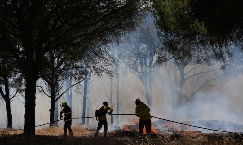 Veliki požari diljem Europe, rekordne razine peludi, evo kakvo je bilo borealno proljeće