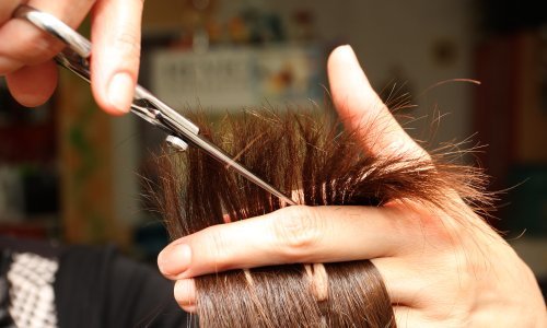 Imaju formulu za uštedu vode na sušnom području, rješenje je vrlo jednostavno