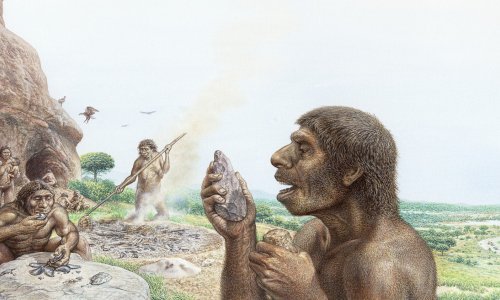 Kako su naši daleki preci čuvali hranu? Nova studija došla je do zanimljivog zaključka