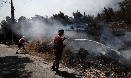 Grčka se bori s požarom na Eubeji, onaj na Kreti pod kontrolom
