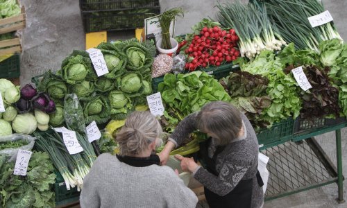 Poljoprivredna bruto proizvodnja u 2024. povećana za 6,6 posto