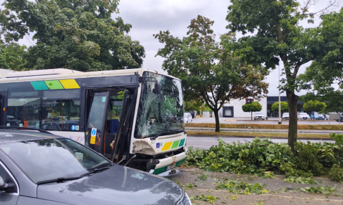 Nevrijeme u Ljubljani iščupalo stablo: Palo na autobus pun ljudi
