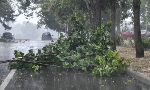 U Sesvetama pola dana uklanjali 25-metarsko stablo, na kuću kod Vinkovaca pao elektrovod