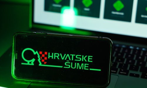 Sabor danas raspravlja o osnivanju istražnog povjerenstva za Hrvatske šume