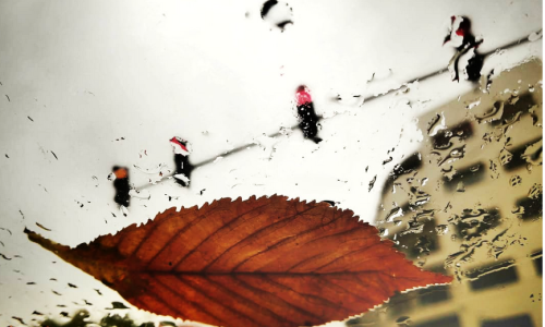 Otvorenje izložbe Vladimire Spindler 'Fragmenti stvarnosti'