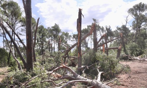 Više od 2600 Splićana prijavilo štetu od nevremena, produžen rok