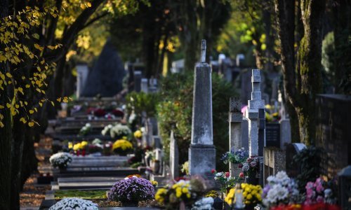Urbana groblja kao mjesta bioraznolikosti: ‘Mozaik različitih staništa’