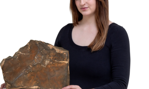 Najveći komad Marsa ikad pronađen na Zemlji ide na dražbu