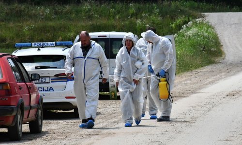 Potvrđen još jedan slučaj afričke svinjske kuge