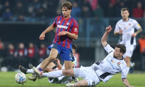 Rokas Pukštas NK Hajduk NK Gorica