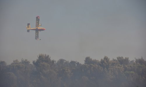 Lokaliziran požar kod Pakoštana