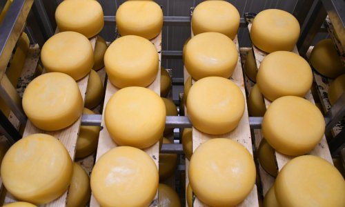 Poznati talijanski proizvođač sira zabrinuti zbog carina: Oko 40 posto proizvodnje odlazi u SAD