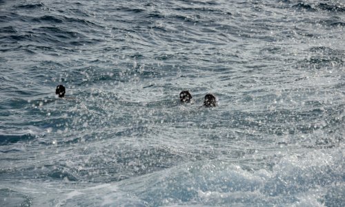Ne preporuča se kupanje; more na plaži u Stonu onečišćeno fekalijama