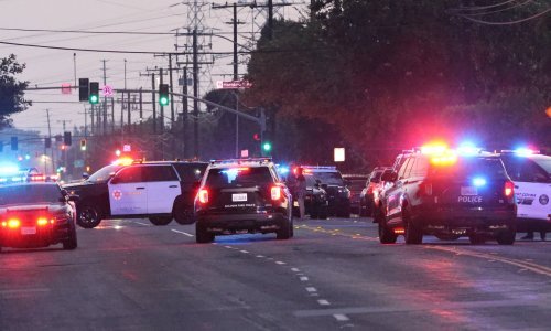 Vozilo se zabilo u gomilu u Los Angelesu, više od 20 ozlijeđenih, četvero u kritičnom stanju