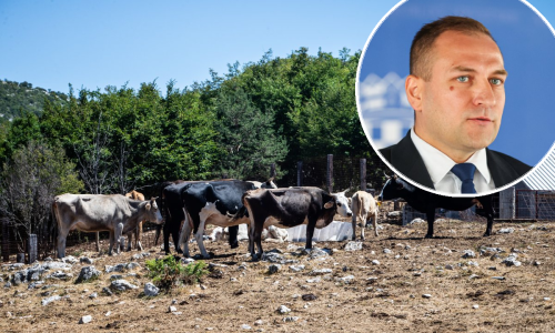 Potvrđene tri bolesti kod životinja. Ministar odgovorio na pitanje je li sustav zakazao