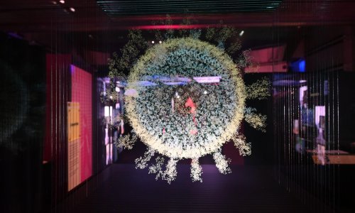 Superbakterije opasno napreduju: I obične infekcije mogle bi postati smrtonosne