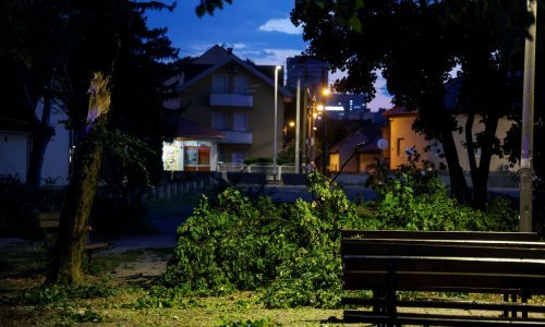 Olujni vjetar protutnjao Zagrebom: Vatrogasci imali pune ruke posla