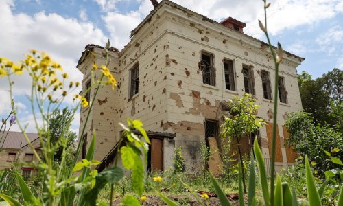 Na mjestu mitske lokacije koju su bombardirali Rusi izrasla je golema šuma: Znanstvenike to brine