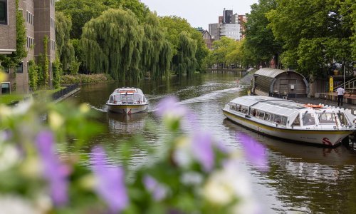 Amsterdam odlučio riješiti problem utapanja mačaka: Počinje gradnja stuba u kanalima