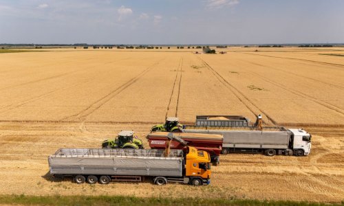 Žito grupa završila žetvu: Klimatske prilike sve su izazovnije