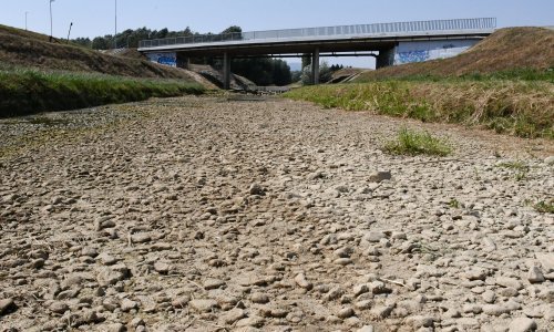 Zbog suše proglašena prirodna nepogoda na dijelu Virovitičko-podravske županije