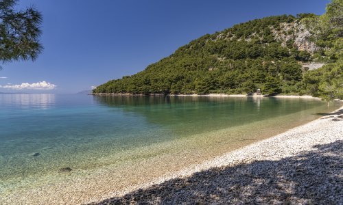 Skriveni biser: Ova hrvatska plaža ima najljepše more okruženo borovom šumom