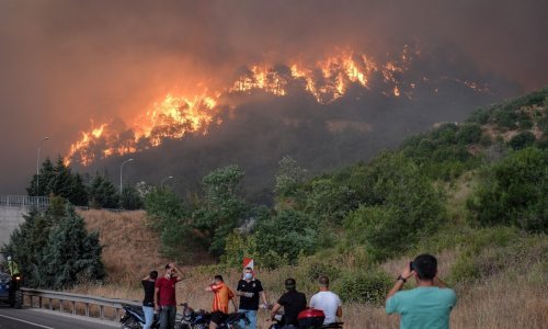 Strašna tragedija u Turskoj: Desetorica vatrogasaca poginula u borbi s požarom