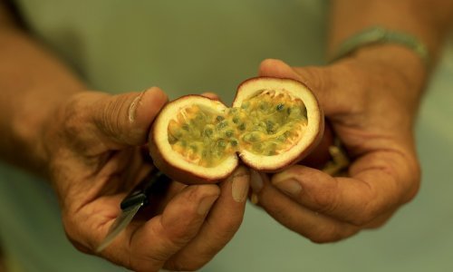 Albanija postala 'rajski vrt' za eksotično sadje zaradi podnebnih sprememb