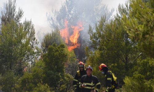 [VIDEO] Gorjelo kod Šibenika: Nema više otvorene vatre, povukli se kanaderi