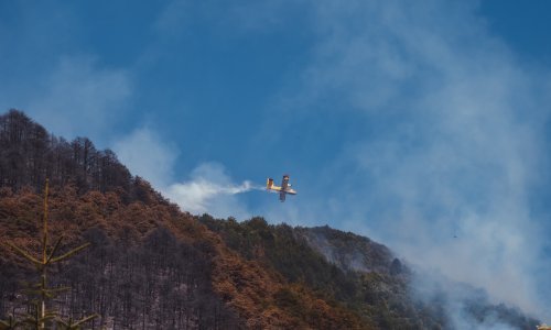 Hrvatski kanaderi stigli u pomoć BiH: Pogledajte kako izgledaju u akciji u Prozor-Rami