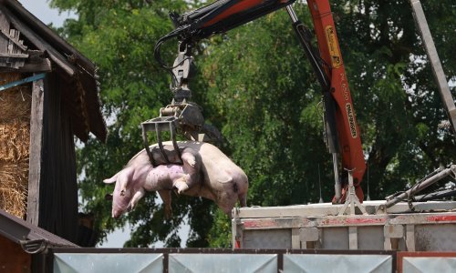 'Ovo je ratno stanje. Ako se zatvore granice, meso ćemo jesti samo nedjeljom i za blagdane!'