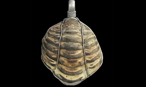 Rimski amulet krije prastaru tajnu - fosil star gotovo pola milijarde godina