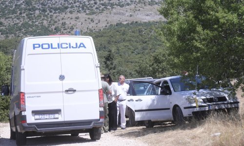 Ukupno 40 uzoraka uginule stoke pozitivno na bedrenicu